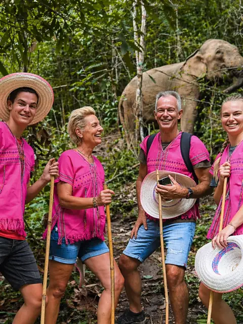 Ethical Half Day Elephant Sanctuary & Waterfall : Chiang Mai
