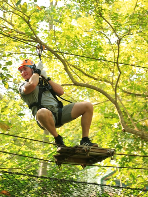 Défi en forêt tropicale - Parcours d'accrobranche : Programme M