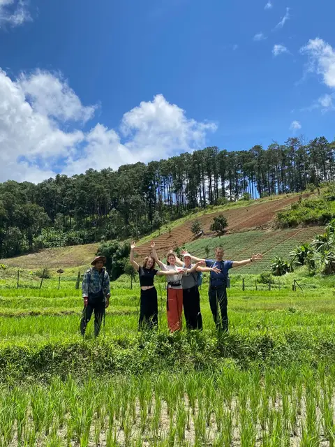 One Day Jungle Trek & Ethical Elephant & Bamboo Raft