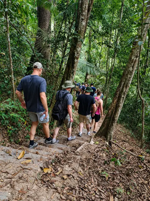 Elephant Sanctuary & Pha Dok Siew Trekking - Full Day Tour