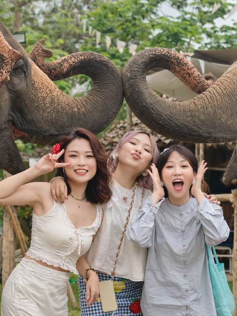 Expérience d'une demi-journée au café des éléphants et à la cascade collante (visite en groupe)