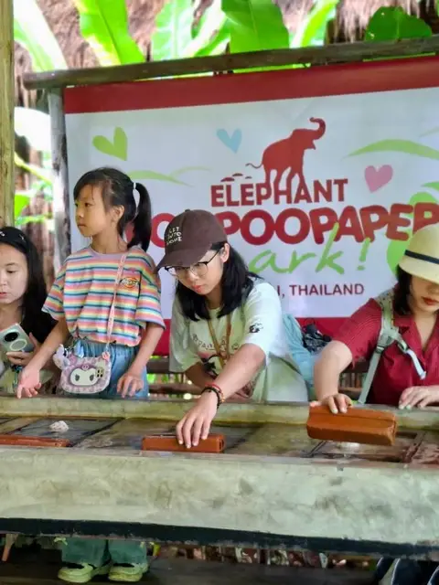 Chiang Mai: Sticky Waterfall & Elephant POOPOOPAPER Park.  (Join Tour Transfer Bus)