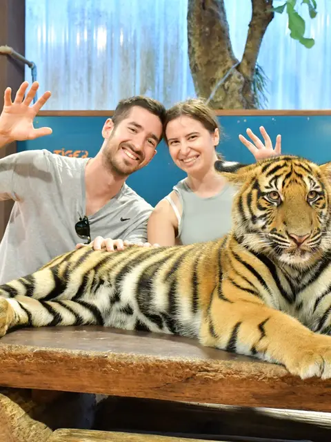 Chiang Mai: Sticky Waterfall & Tiger Kingdom. (Join Tour Transfer Bus)