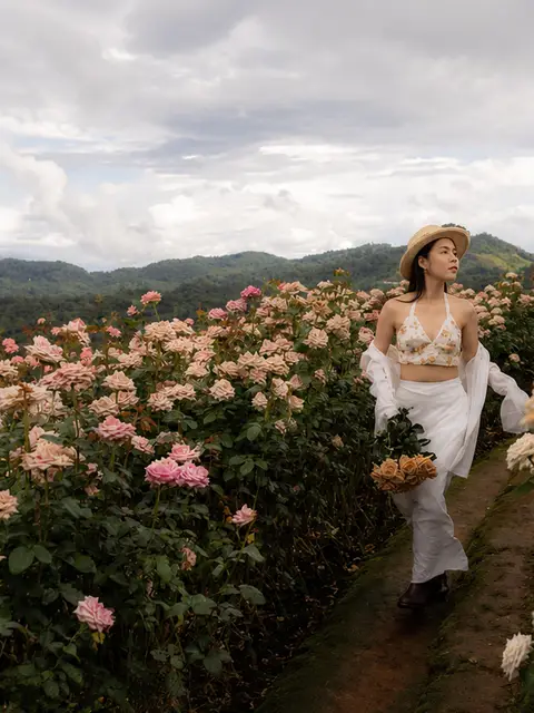 Rose Garden, Rainbow Cave  & Mae Sa Waterfall : Private Day Tour: