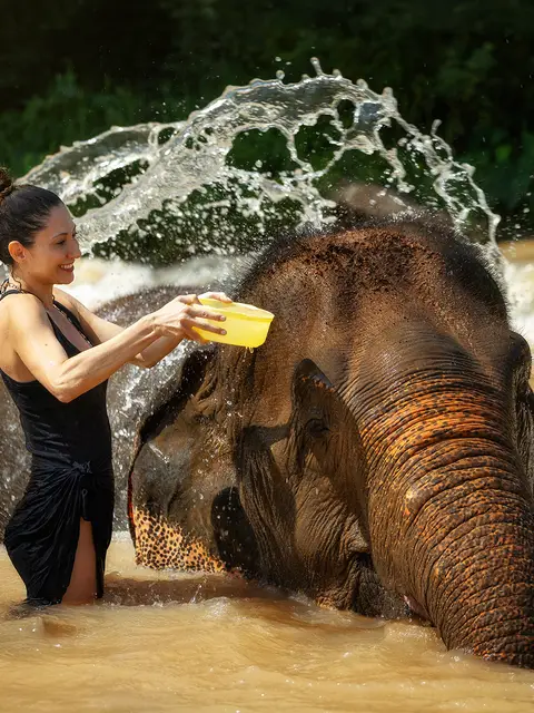 Half-Day Elephant Sanctuary Morning Visit, Chiang Mai